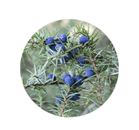 Ingredient 3